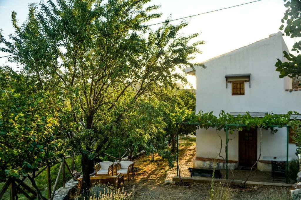 El Pajar De Angelines Villa Tocón de Quéntar Exterior foto